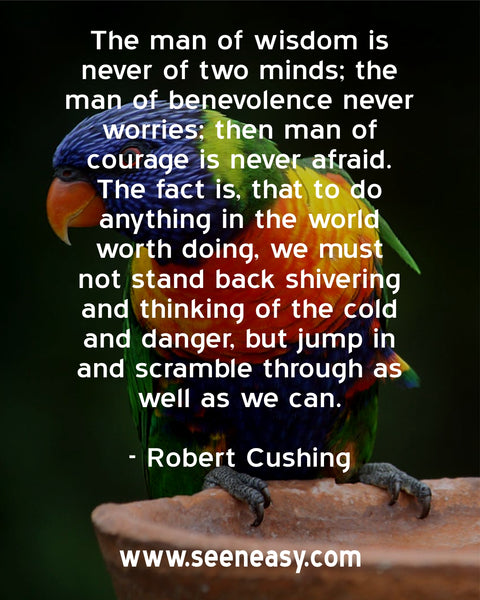 The man of wisdom is never of two minds; the man of benevolence never worries; then man of courage is never afraid. The fact is, that to do anything in the world worth doing, we must not stand back shivering and thinking of the cold and danger, but jump in and scramble through as well as we can. Robert Cushing
