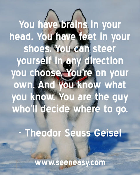 You have brains in your head. You have feet in your shoes. You can steer yourself in any direction you choose. You’re on your own. And you know what you know. You are the guy who’ll decide where to go. Theodor Seuss Geisel