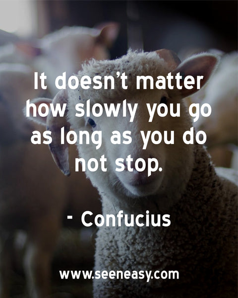 It doesn’t matter how slowly you go so long as you do not stop. Confucius