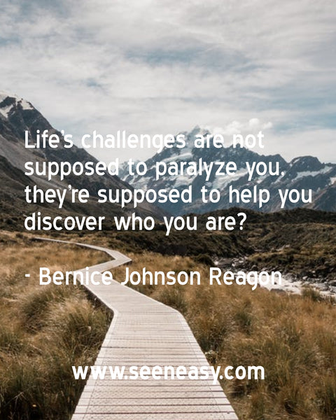 Life’s challenges are not supposed to paralyze you, they’re supposed to help you discover who you are? Bernice Johnson Reagon