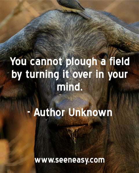 You cannot plough a field by turning it over in your mind. Author Unknown