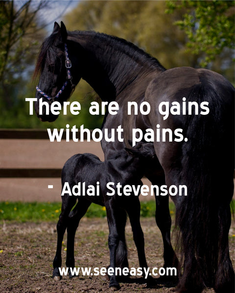 There are no gains without pains. Adlai Stevenson