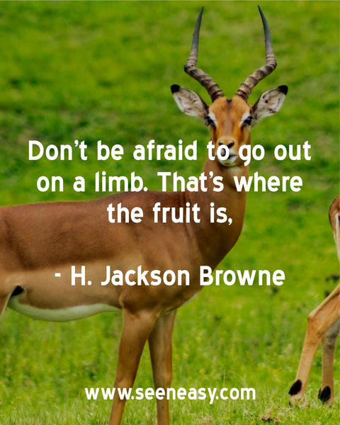 Don’t be afraid to go out on a limb. That’s where the fruit is. H. Jackson Browne