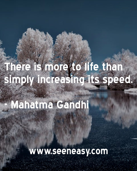 There is more to life than simply increasing its speed. Mahatma Gandhi