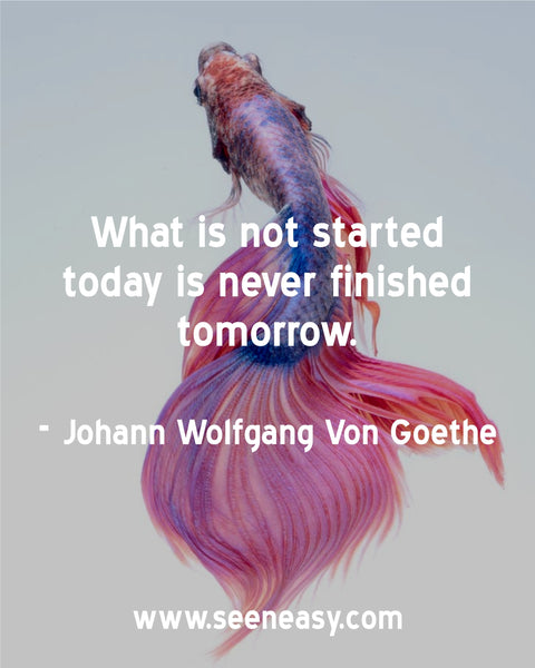 What is not started today is never finished tomorrow. Johann Wolfgang Von Goethe