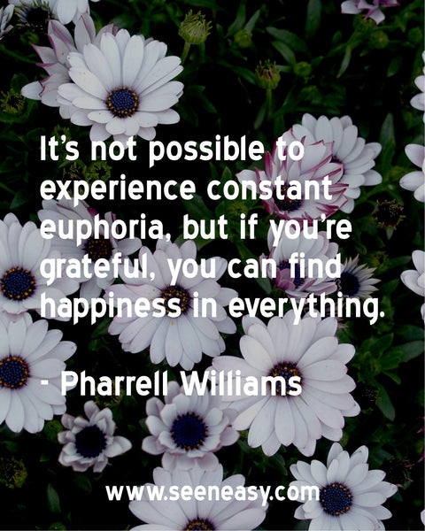 It's not possible to experience constant euphoria, but if you're grateful, you can find happiness in everything. Pharrell Williams