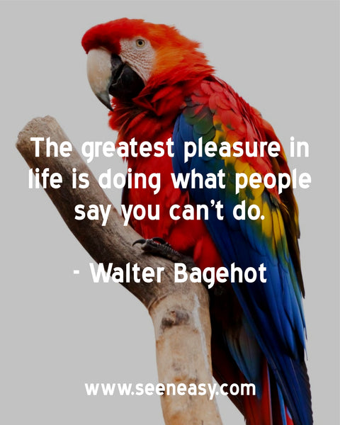 The greatest pleasure in life is doing what people say you can’t do. Walter Bagehot