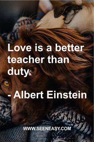 Love is a better teacher than duty. Albert Einstein