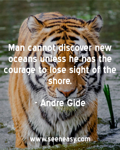 Man cannot discover new oceans unless he has the courage to lose sight of the shore. Andre Gide