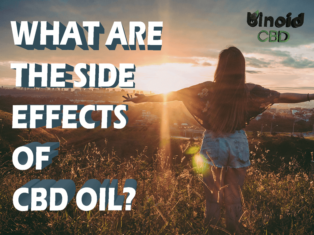 15 Severe Cbd Oil Side Effects You Must Know Binoid Cbd