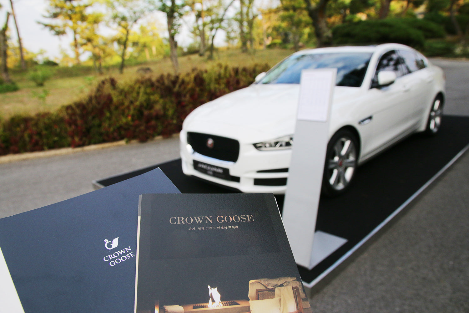 Crown Goose Crown Featured - 2016 JAGUAR & LANDROVER GOLF CLASSIC 2nd