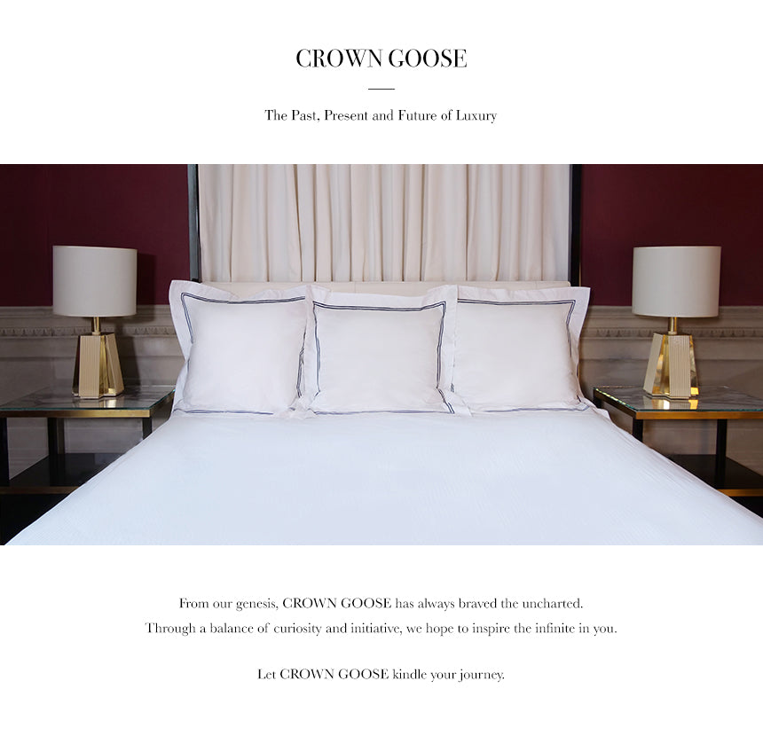 crowngoose-european down pillow sham cover