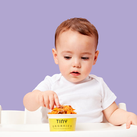 Baby-led Weaning: Helping Your Baby To Love Good Food