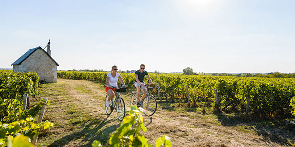 vignoble saumur - loire à vélo