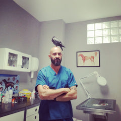 vegan vet