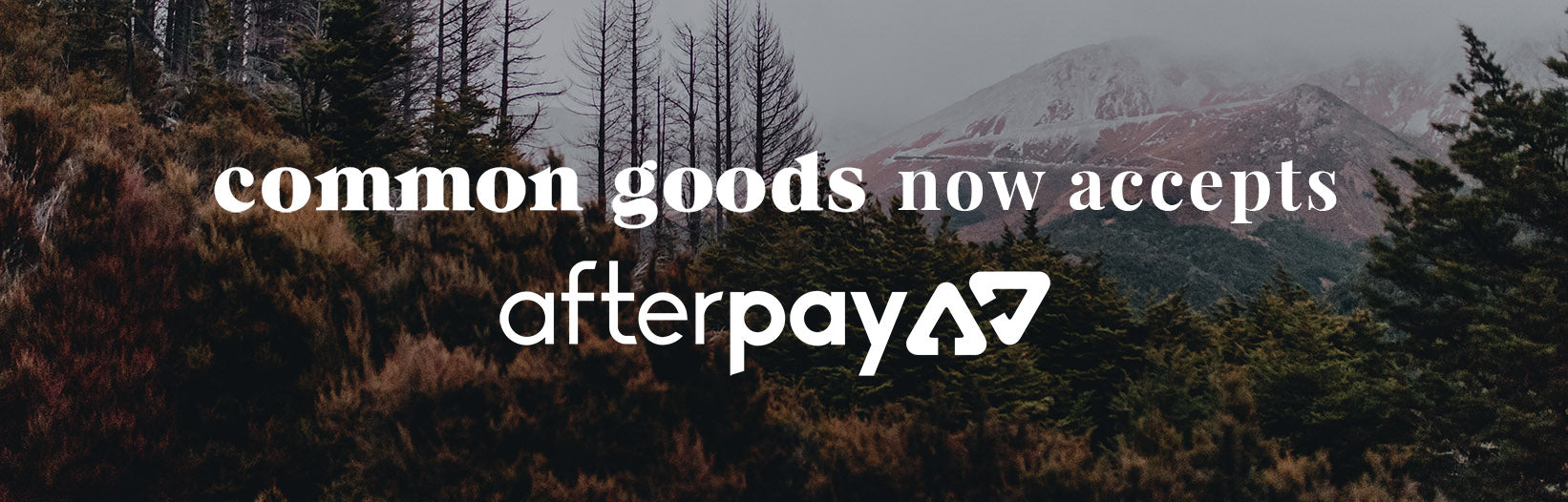 Afterpay Your Purchases at Common Goods - Shop Now, Pay Later
