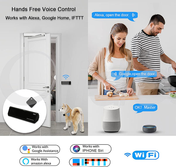 Alexa voice control automatic swing door opener