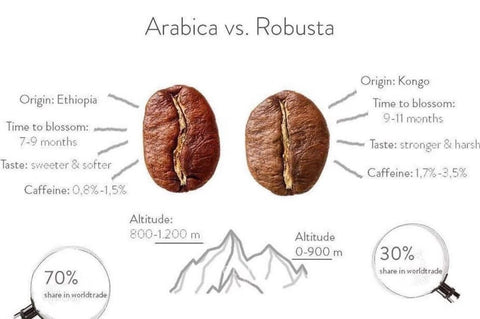 Arabica vs Robusta Coffee Beans
