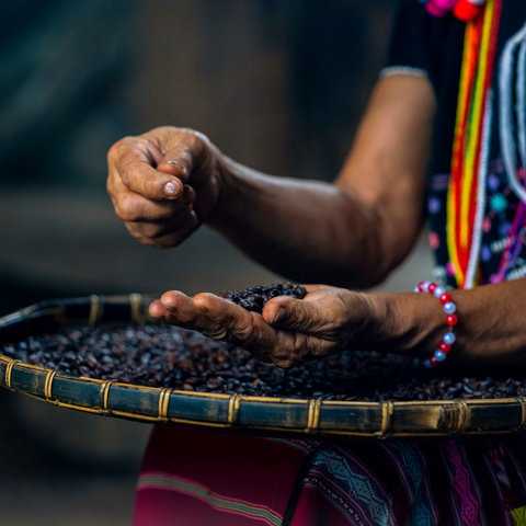 Coffee Bean Farmer