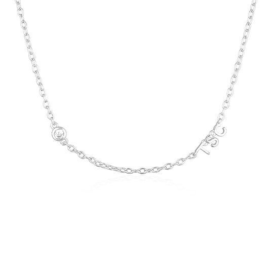 Signature Necklace Silver