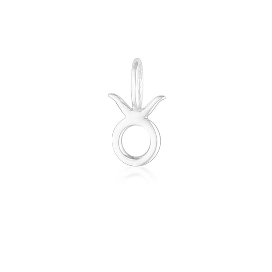 Taurus Charm