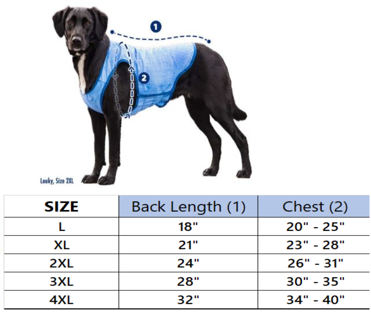 Dog Cooling Vest | Exclusively large dog gear – Pit Bull Outfitters