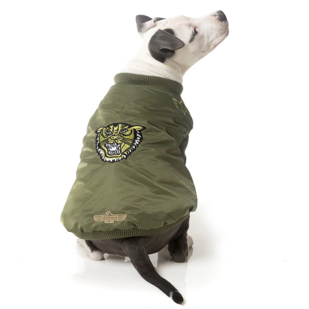 dog bomber jacket large