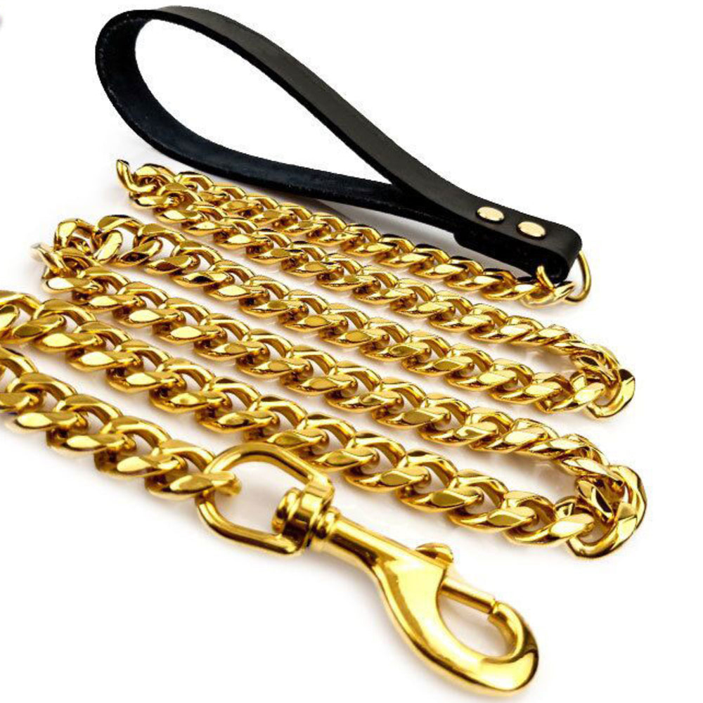 gold dog chain and leash