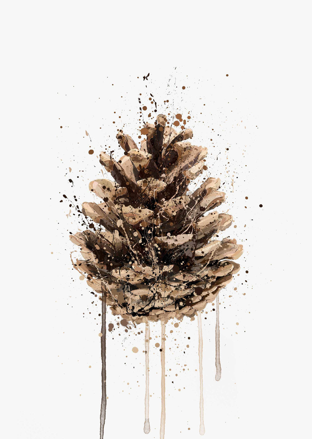 Pinecone Wall Art Print We Love Prints Ltd