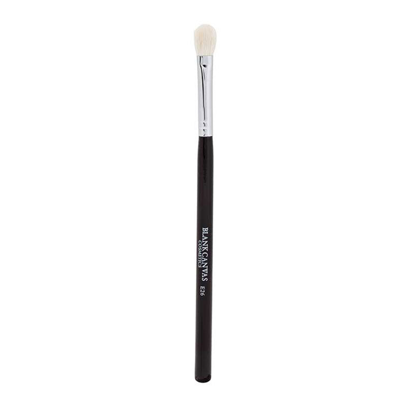 Blank Canvas Blending Brush E26