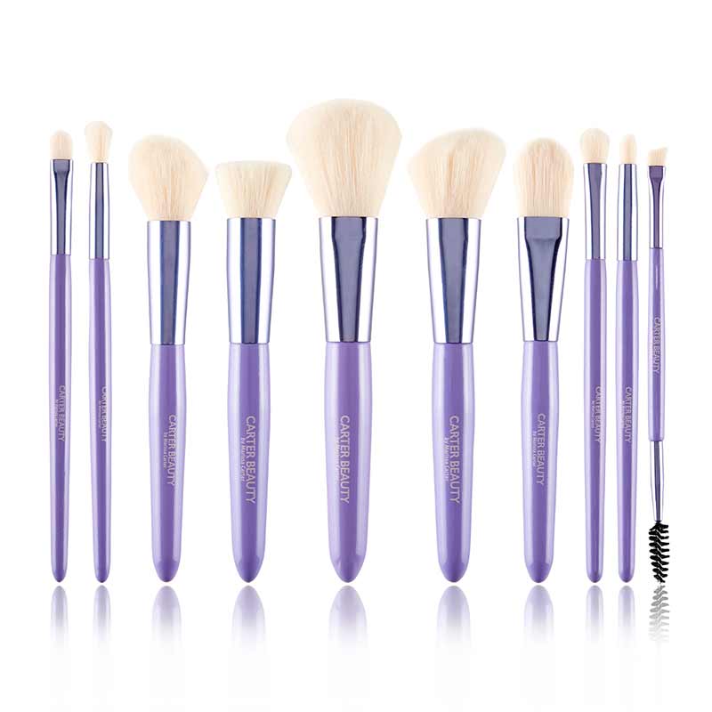 Carter Beauty Paint & Decorate 10 Piece Luxury Brush Set Discontinued