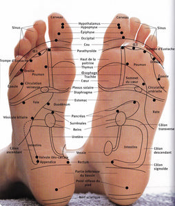 réflexologie formation