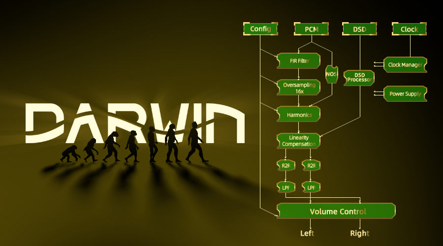 RS2 - Hifi Audio Player Medium-end DAP with Darwin Architecture