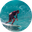 Surf Lyfe