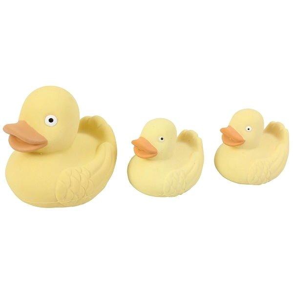 the real rubber duck