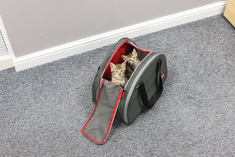 kong 2 in 1 pet carrier