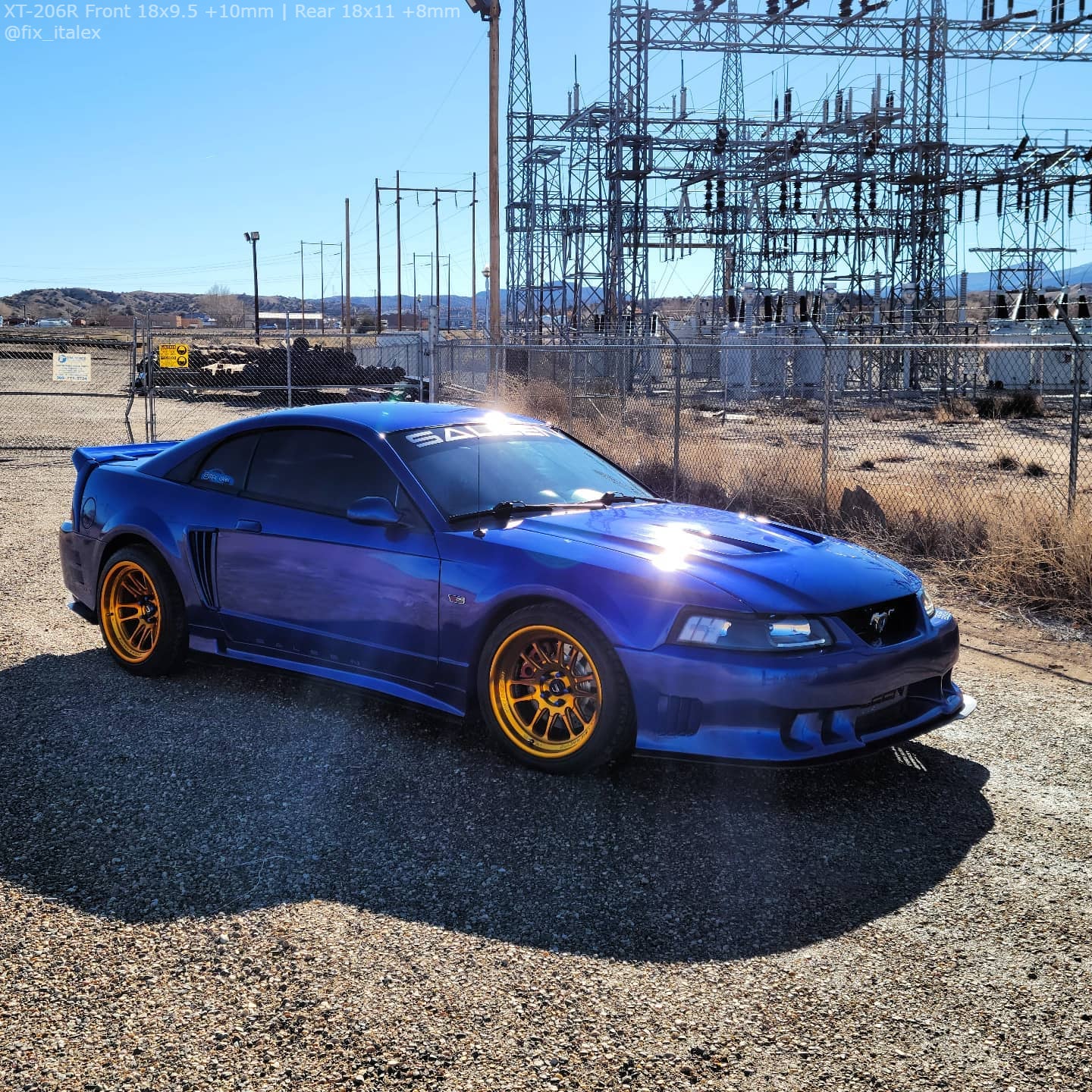 black mustang gold rims