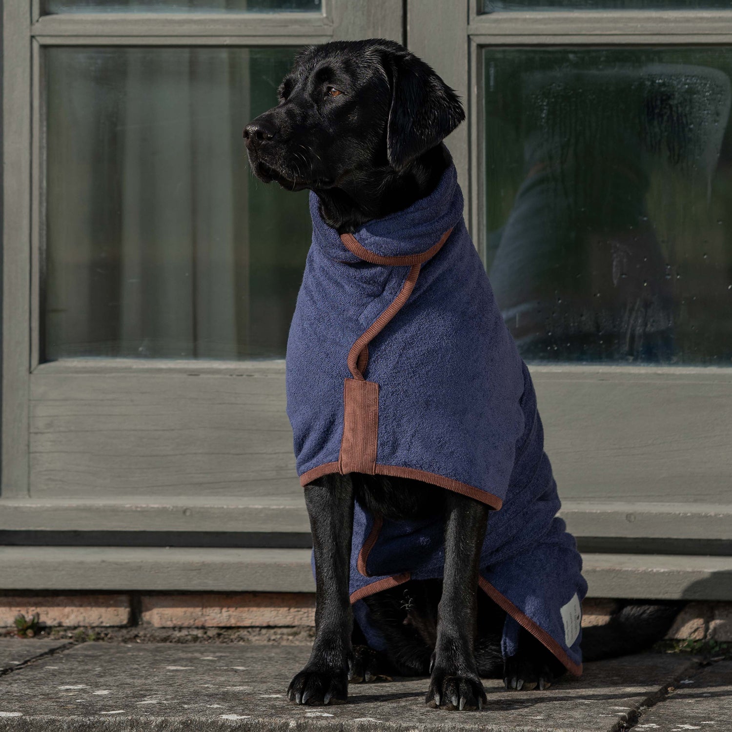 Dog　Coats　Ruff　Coats　Quality　Tumble　Drying　From　Shop　Dog
