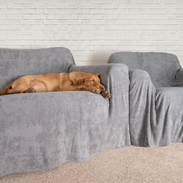 dog proof sofa throws