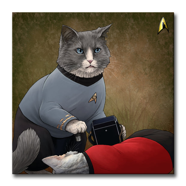 cats star trek original series