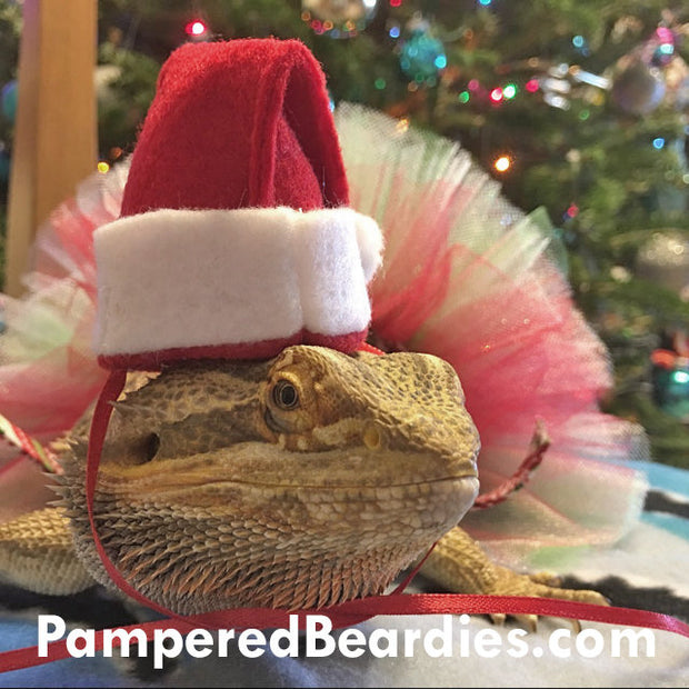 santa hats for small animals