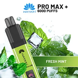 Fresh Mint