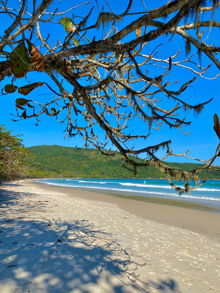 Praia de Lopes Mendes - Ilha Grande RJ