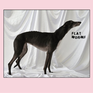 Flat Worms - Flat Worms LP