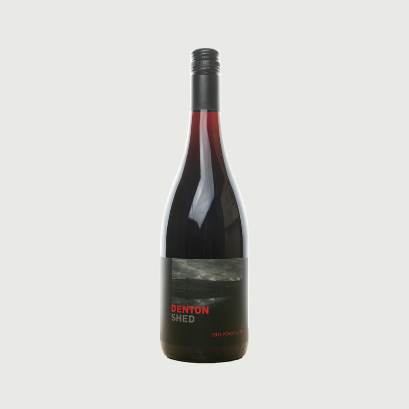 Denton Shed - 2021 Pinot Noir