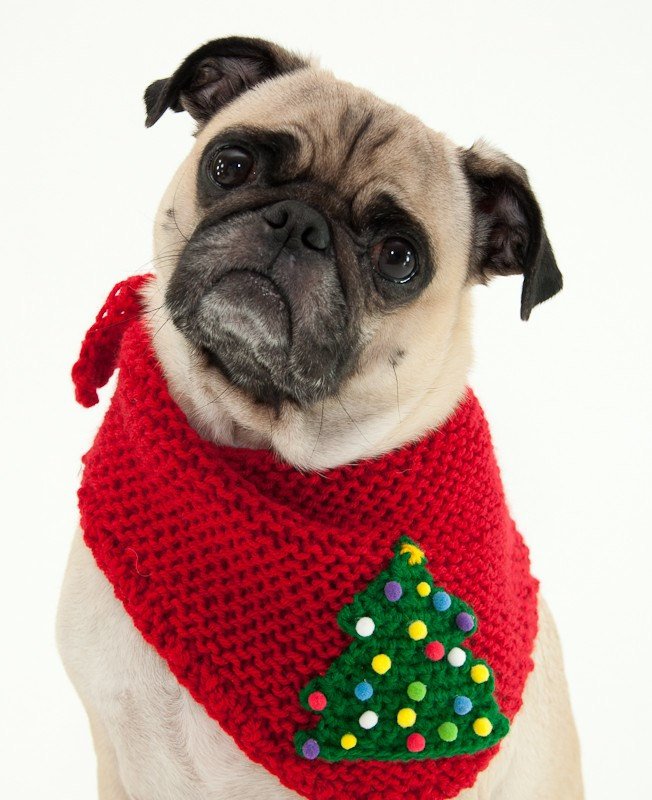 xmas dog bandanas