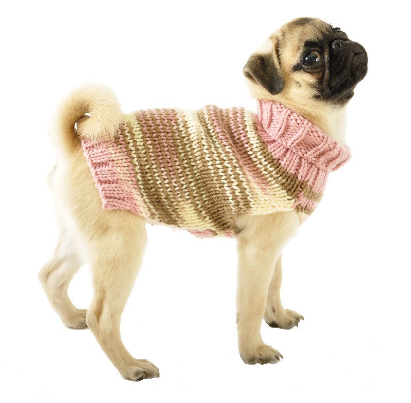 dog sweater sizes