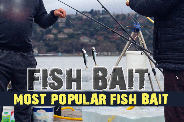 What's The Most Popular Fish Bait? – HawkEye® Electronics
