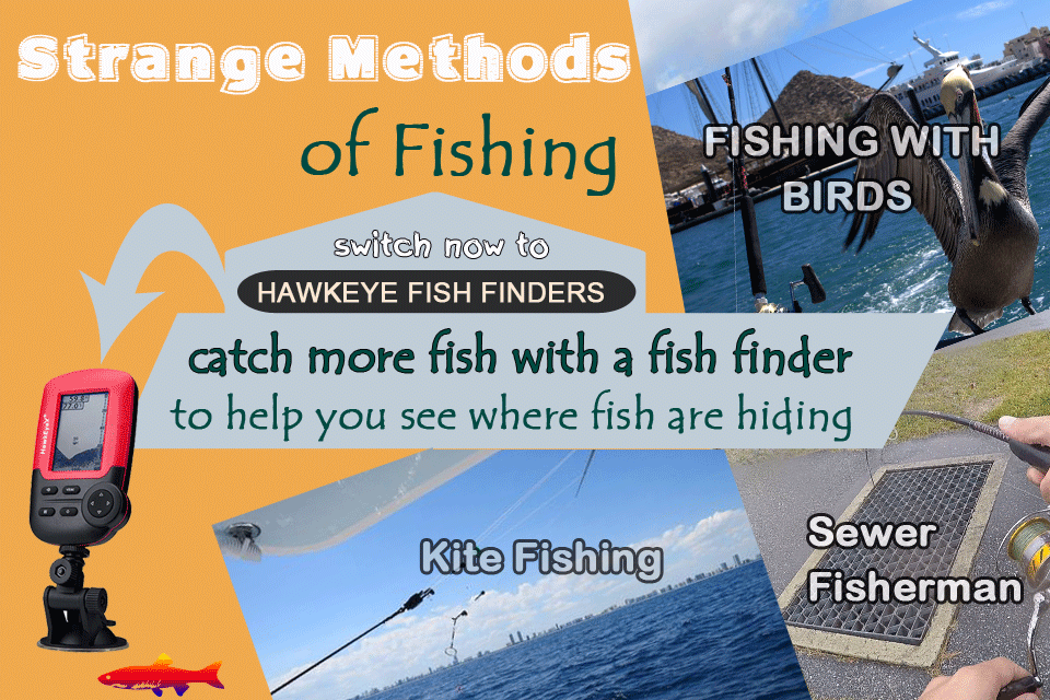 FISH FINDER METHODS