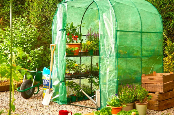 Convenient and user-friendly garden greenhouses, providing an ideal environment for plants with easy setup and maintenance.
